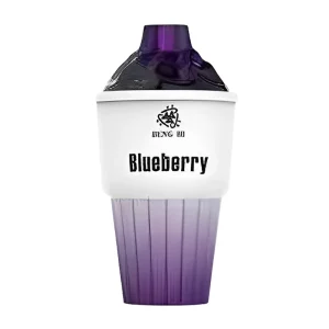 BENG HI BH8K-1 Disposable Vape 8000 Puffs – Blueberry