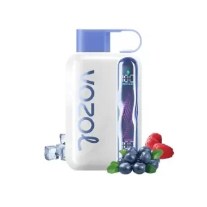 Blue Razz Ice - Vozol Star 40000 Disposable Vape