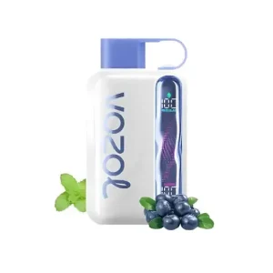 Blueberry Mint - Vozol Star 40000 Disposable Vape