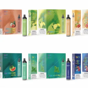 Sky Rechargeable Disposable 4500 Puffs - 10 Pack