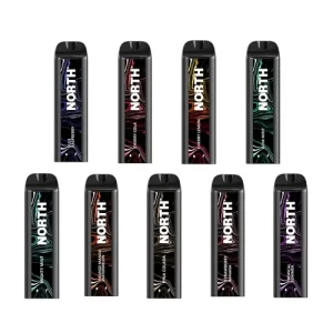North 5000 Puffs Disposable Vape - 10 Pack