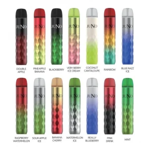 JuNo Prism Rechargeable Vape 4000 Puffs - 10 Pack