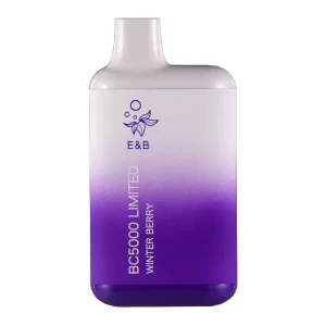 Winter Berry BC5000 - Vapeoutletus Online Vape Store